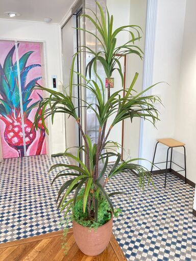 【値下げ】フェイクグリーン（鉢植え型・大型）⑥