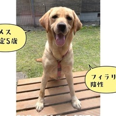 ラブらしい明るい子