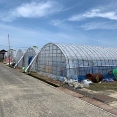 農業ハウス、ビニールハウス探しています。（解体、運搬行います。）