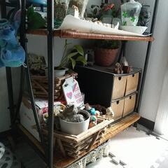 5段棚 の画像
