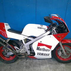 YAMAHA TZM50R 白/赤  自賠保険で乗れます 半額配送キャンペーン 期間限定 現状渡し諸経費￥0- 横浜 P-Yardの画像