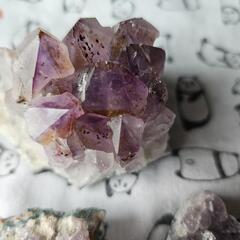楽器 アクセサリーの画像