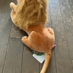 アニマルワールド　　ライオン🦁🦁の画像
