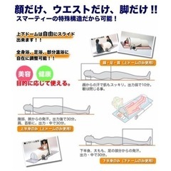 【正規品】フジカスマーティー　の画像