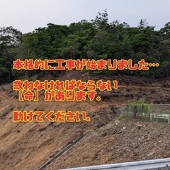 【大至急!!!】里親募集・預かり募集