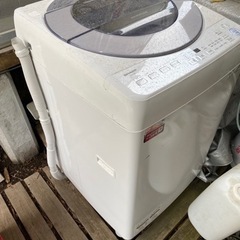 家電 生活家電 洗濯機