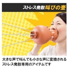 叫びの壺の画像