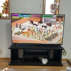 テレビ
