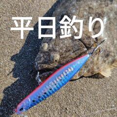 平日釣り仲間募集🎣