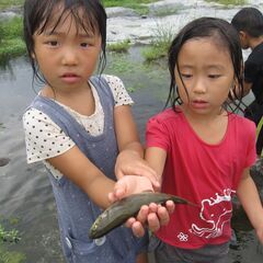 【正社員責任者】子どもと一緒にワクワクを作れる人!の画像