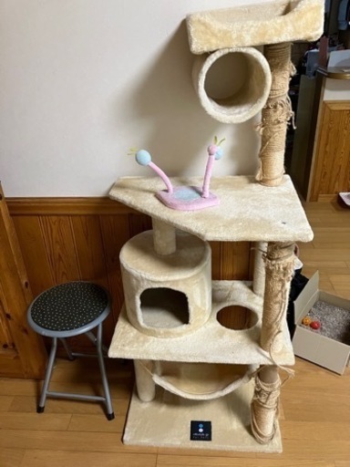 キャットタワー