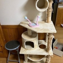 キャットタワー