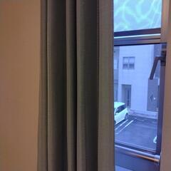 グリーンカーテン　少しラメ入りの画像