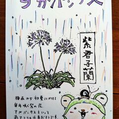 雨が多いですね