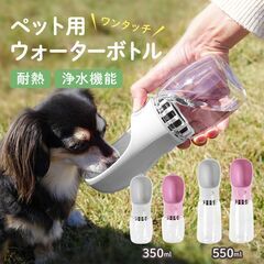 【ペットモデル】ワンちゃん・ネコちゃんのモデル募集★協力金3,000円＆撮影写真データ進呈★の画像