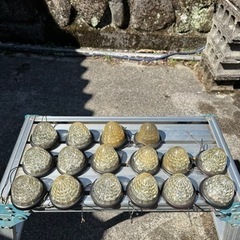 バスマーカーled白
