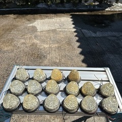 バスマーカーled白
の画像