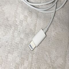 Apple アップル　iPhone イヤフォン　中古　ジャンクの画像