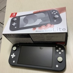 Switchライト充電器あり傷なし