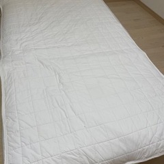 家具 ベッド シングル
ベッド