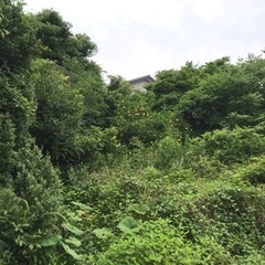 鳥取市立川町２丁目の土地　1,144.2平米　更地渡し - 土地販売/土地売買