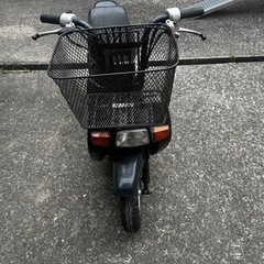 スカッシュ　49cc 6V