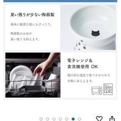 猫壱　餌入れら水入れの画像