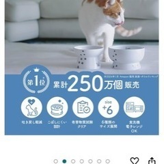 猫壱　餌入れら水入れの画像