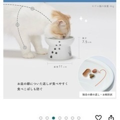 猫壱　餌入れら水入れの画像