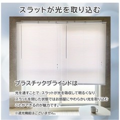 ブラインド / 木目調プラスチックブラインド　✖️2面の画像