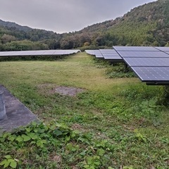 太陽光発電所の草刈り作業　残り２現場