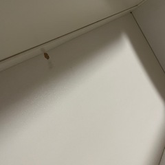 【週末限定　差し上げます】本棚　IKEAの画像