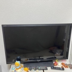 家電 テレビ 液晶テレビ