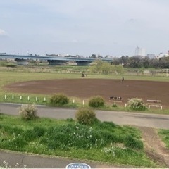 【7月6日（土）、21日（日）】フリスビーやりませんか？ - 渋谷区