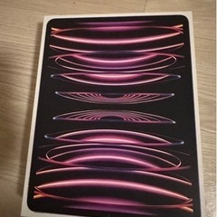 iPad pro 第6世代 256GB 