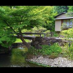 着付けの練習 - 練馬区