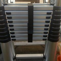 最終値下げ‼️  伸縮はしごの画像