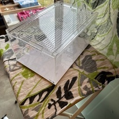 爬虫類などのゲージの画像