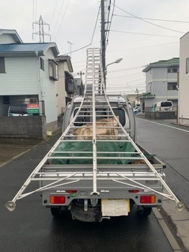 植木屋　脚立　15尺　剪定