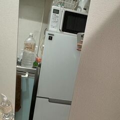 鏡（スタンド型）[ミラー部 高さ151cm, 幅30cm]