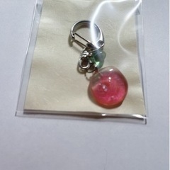 どれでもアクセサリー