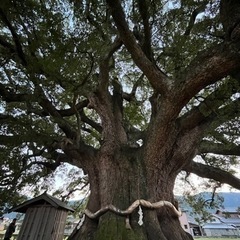 女性の旅友募集です。 − 埼玉県