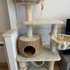 キャットタワー　mau パルフェの画像