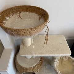 キャットタワー　mau パルフェの画像