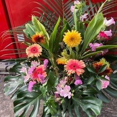 生花の画像