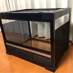 爬虫類　ゲージ　美品の画像