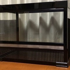 爬虫類　ゲージ　美品の画像