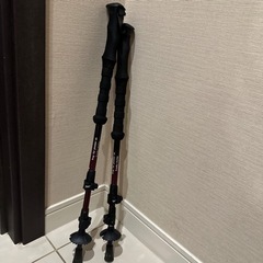 歩行　ハイキング
補助など