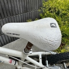 ルイガノJ16の画像