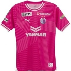 スポーツ 野球